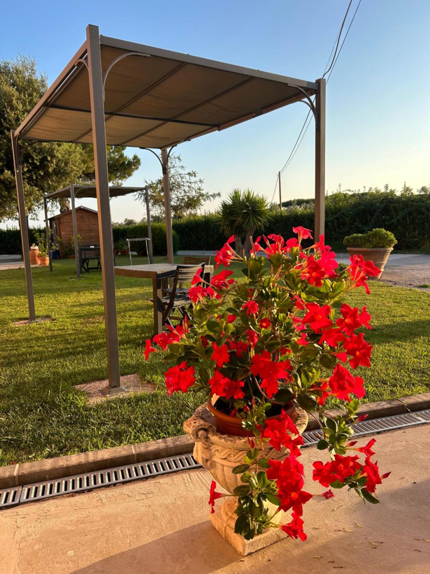 Agriturismo Da Michele E Carmela Di Voli Patrizia Donoratico Dış mekan fotoğraf